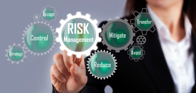 Risk Management Strategies In Financial Institutions Carisma